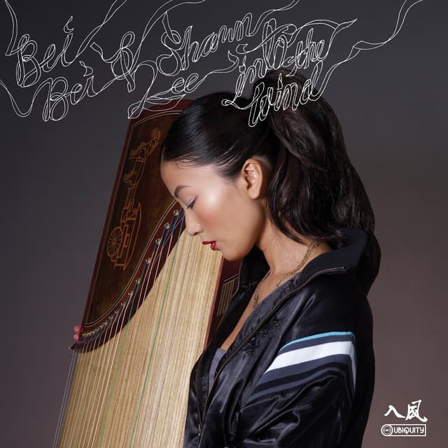 Album cover art for Into the Wind