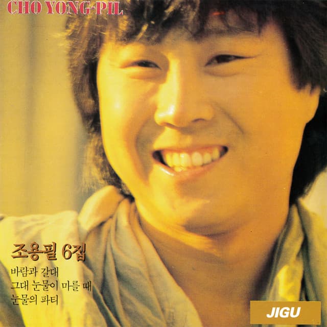 Album cover art for Cho Yongpil 6
