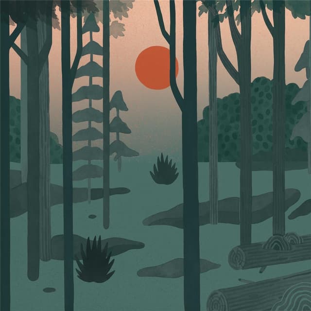 Album cover art for Always Already