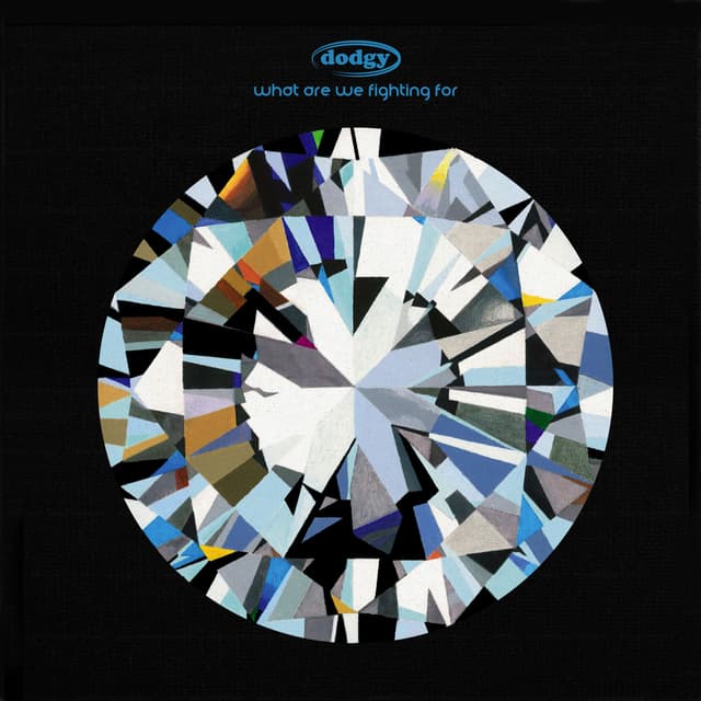 Album cover art for What Are We Fighting For