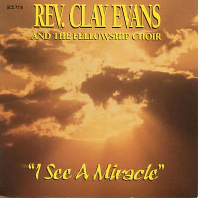 Album cover art for I See a Miracle