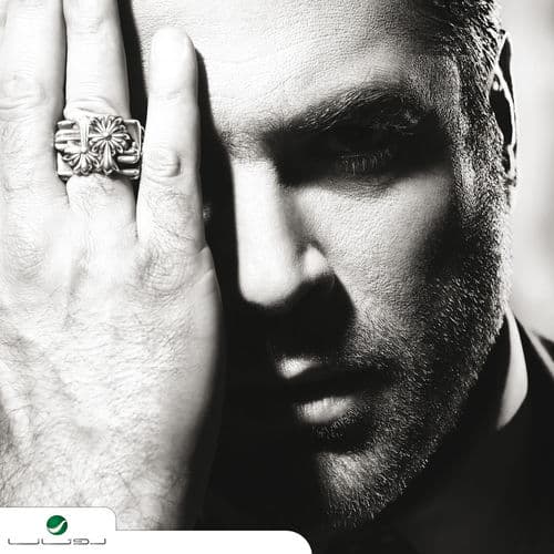 Album cover art for Wael 2015
