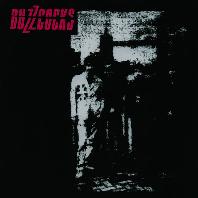 Album cover art for Buzzcocks