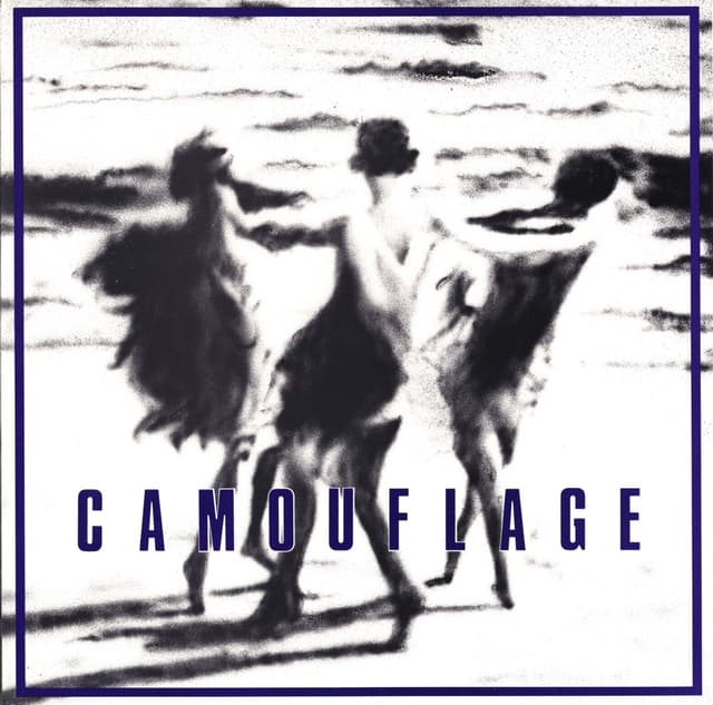 Album cover art for Camouflage