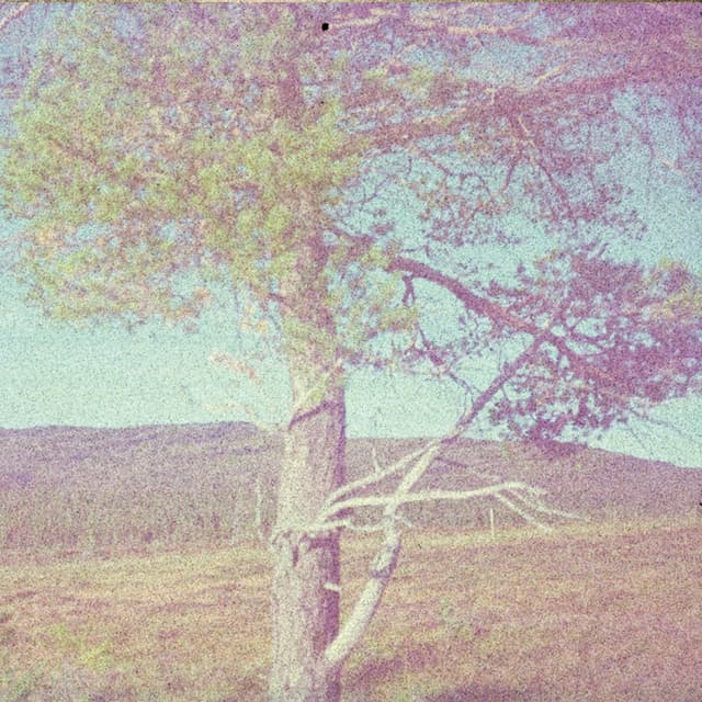 Album cover art for Ruhin