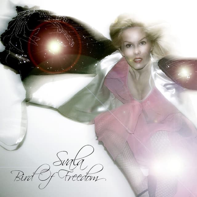 Album cover art for Bird Of Freedom