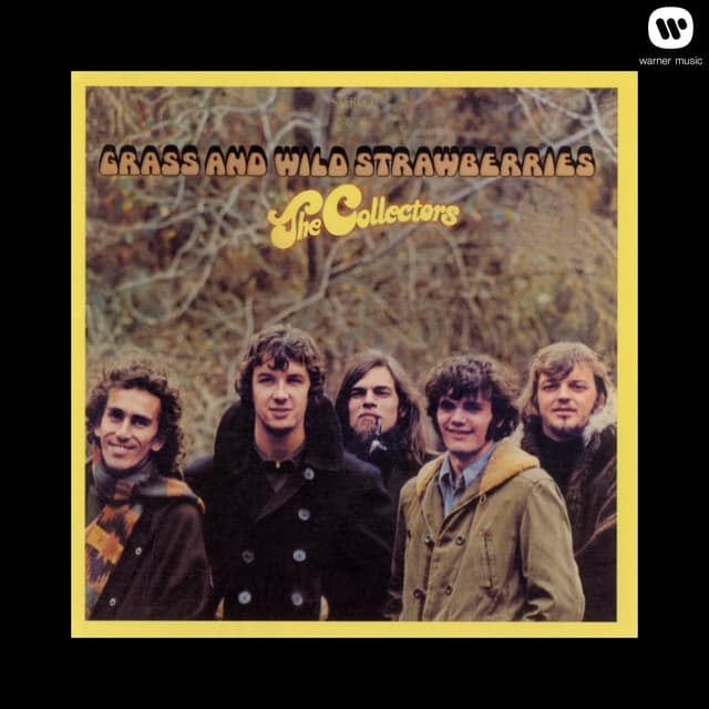 Album cover art for Grass And Wild Strawberries