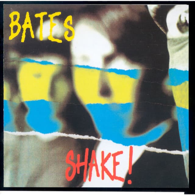Album cover art for Shake!