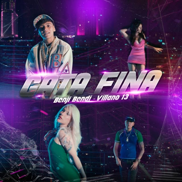 Album cover art for Gata Fina