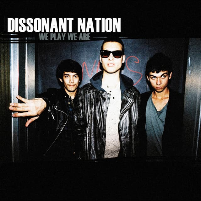 Album cover art for We Play We Are