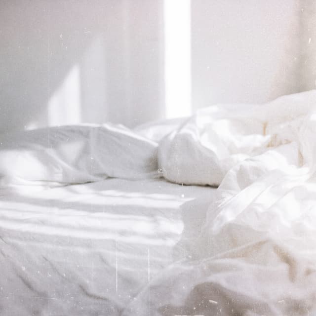 Album cover art for 朝靄に溶ける