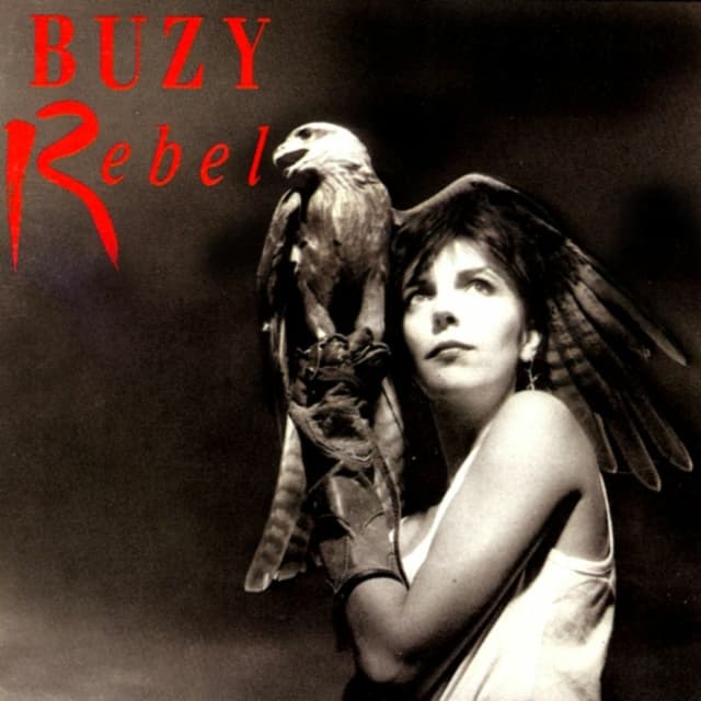 Album cover art for Rebel
