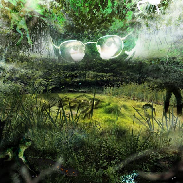 Album cover art for Boggy