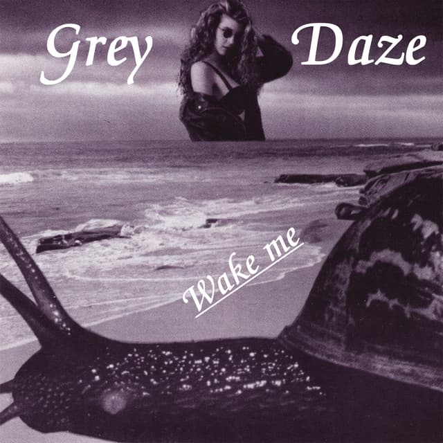 Album cover art for Wake Me