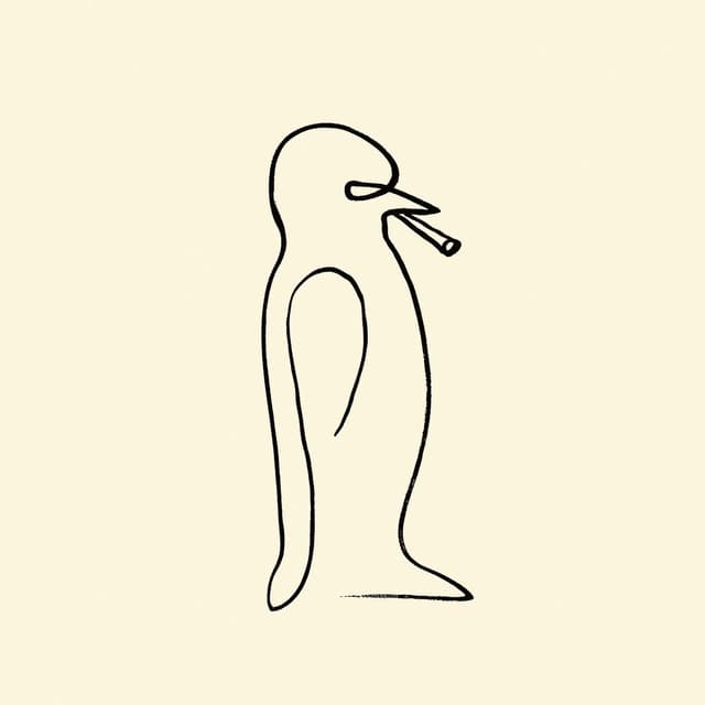 Album cover art for PINGUINE SIND AUCH NUR PANDAVÖGEL