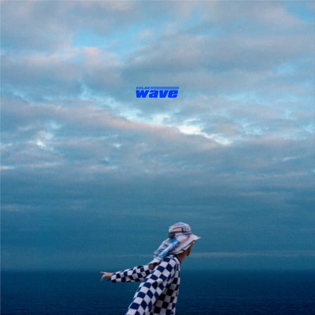 Album cover art for Wave