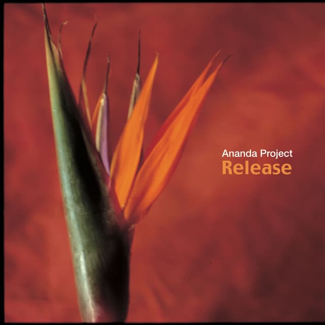 Album cover art for Release