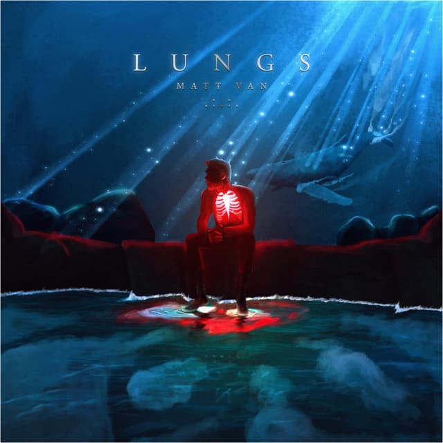 Album cover art for Lungs
