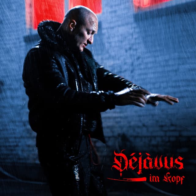 Album cover art for Déjàvus im Kopf