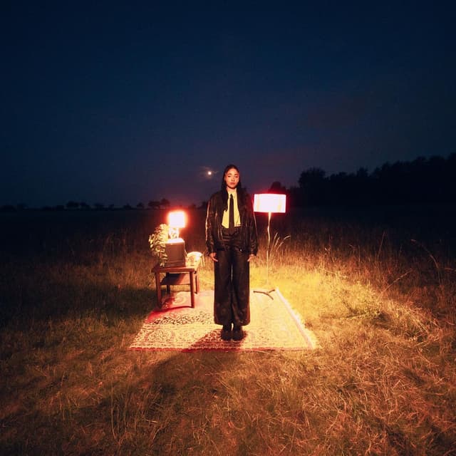 Album cover art for you ruined me but it was fun