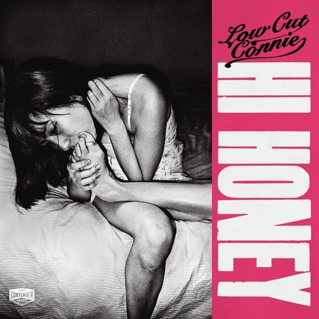 Album cover art for Hi Honey