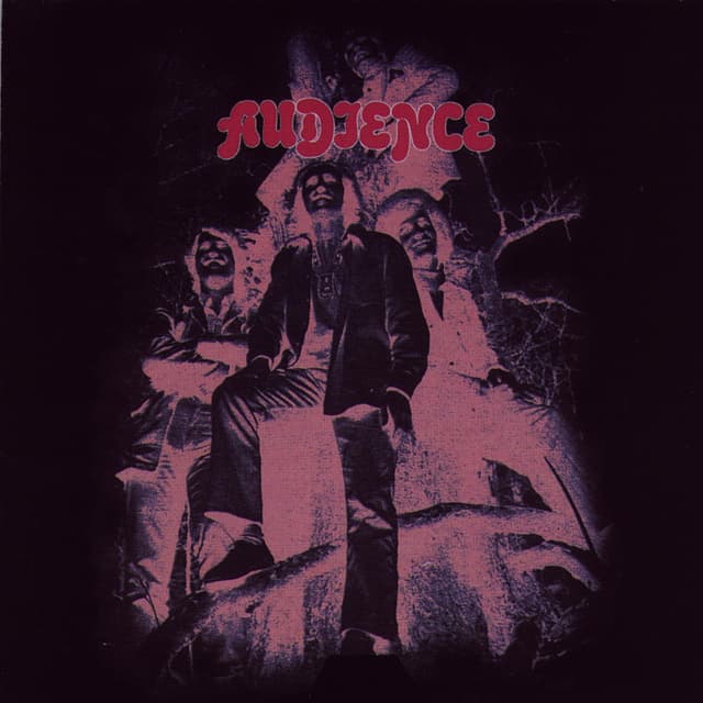 Album cover art for Audience