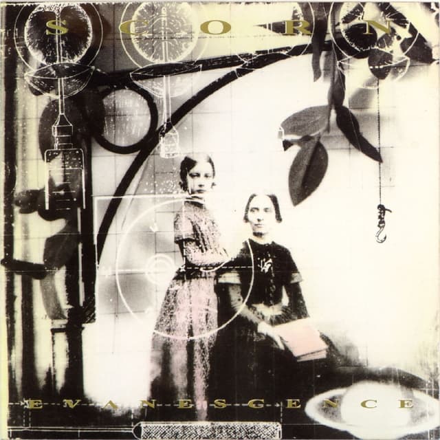 Album cover art for Evanescence