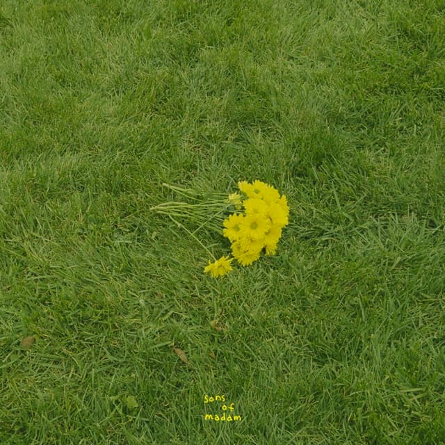 Album cover art for Dear My Chick