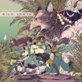 Album cover art for Wild Youth