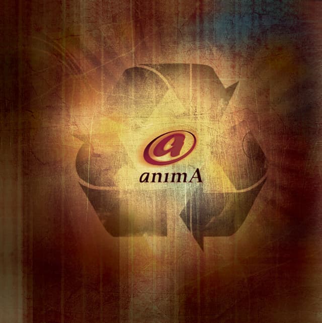 Album cover art for Anima