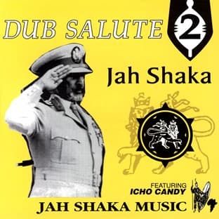 Album cover art for Dub Salute 2