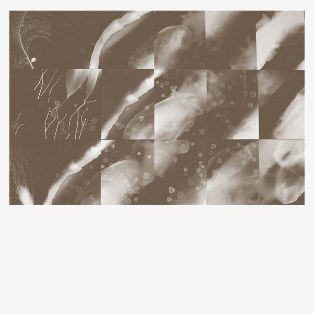 Album cover art for For a Moment the Sky Knew My Name