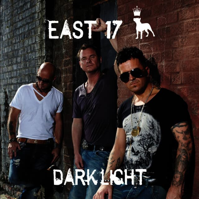Album cover art for Dark Light