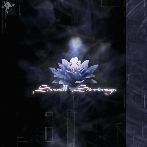 Album cover art for Swell Strings