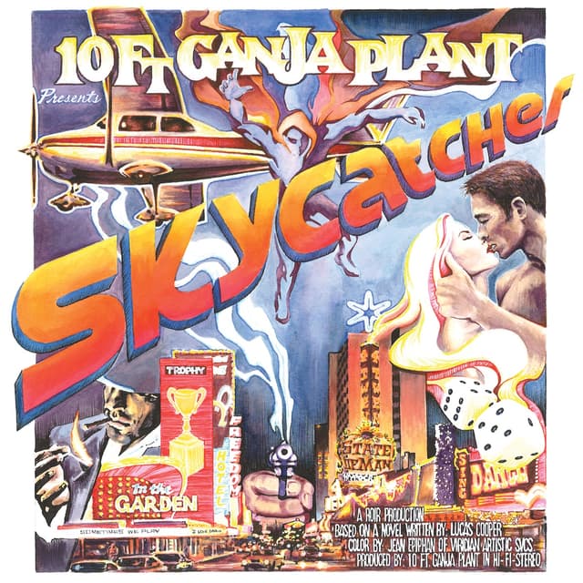 Album cover art for Skycatcher
