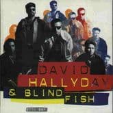 Album cover art for David Hallyday & Blind Fish