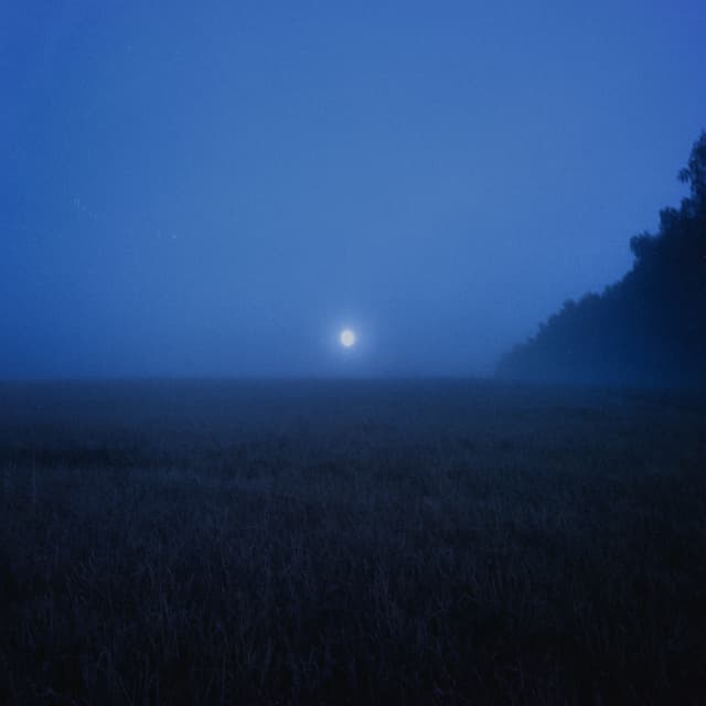 Album cover art for Forgotten Dreams - Single