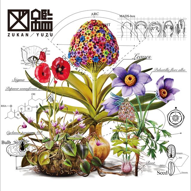 Album cover art for Zukan