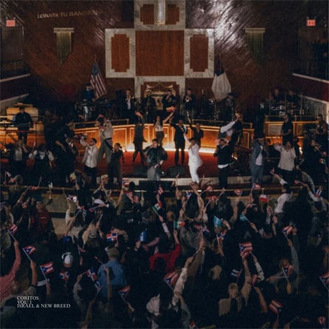 Album cover art for Coritos Vol. 1