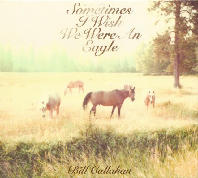 Album cover art for Sometimes I Wish We Were An Eagle