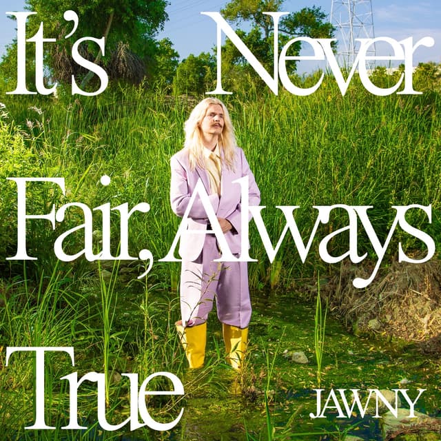 Album cover art for It's Never Fair, Always True
