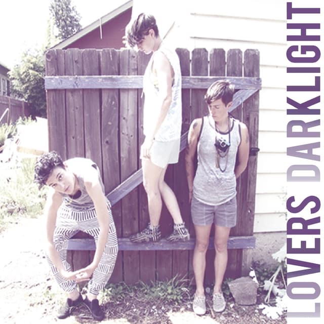Album cover art for Dark Light