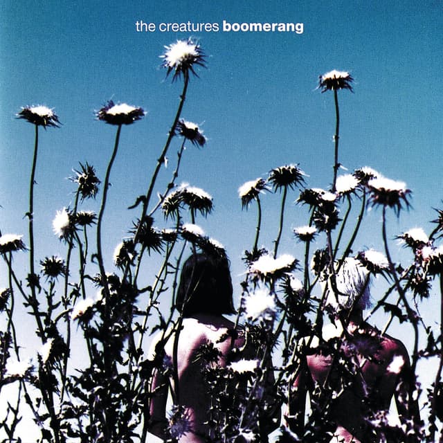 Album cover art for Boomerang