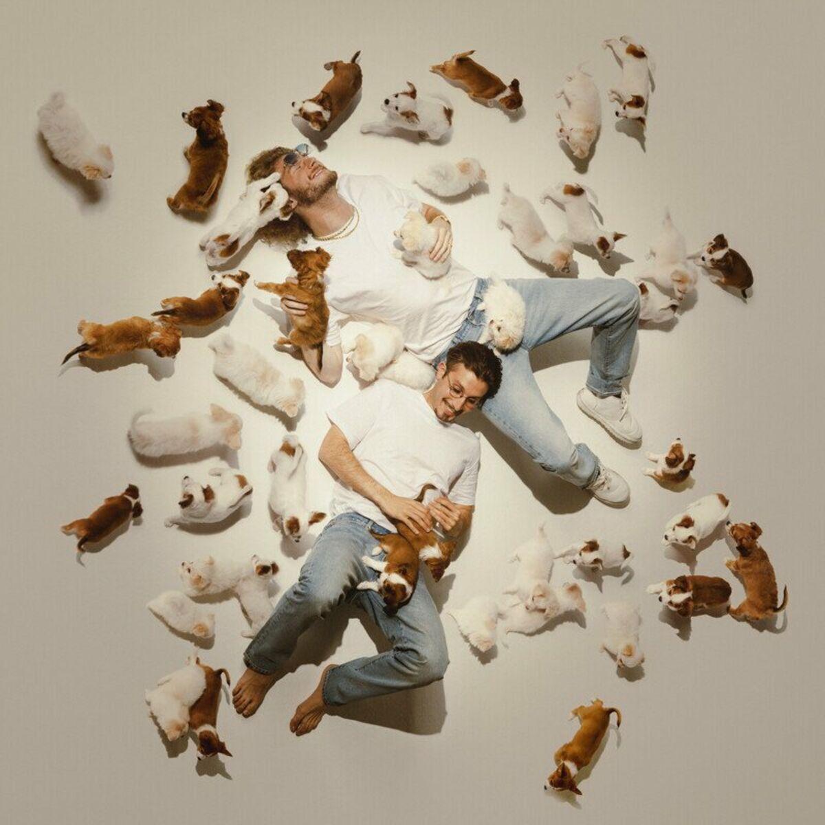 Lyrics | BABY GRAVY, Yung Gravy and bbno$ | swiper no swiping!