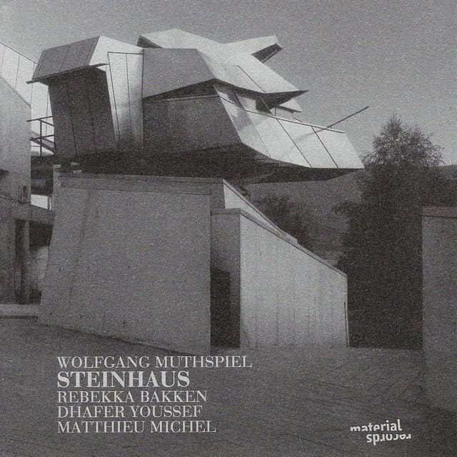 Album cover art for Steinhaus