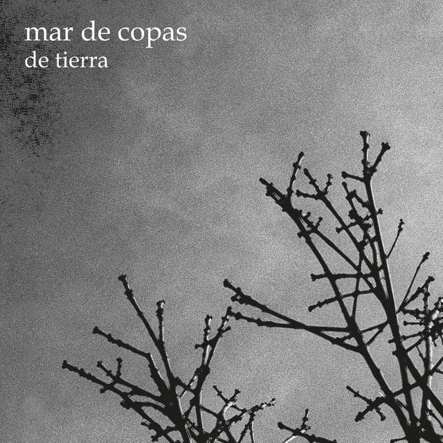 Album cover art for De Tierra