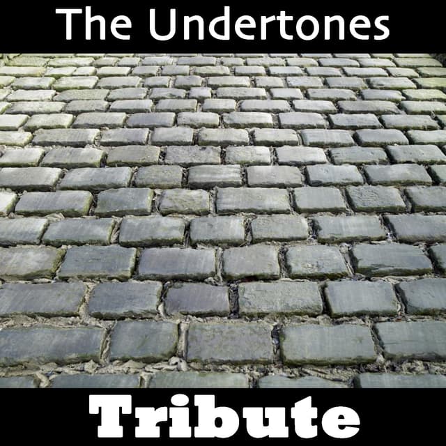 Album cover art for Teenage Kicks: Tribute To The Undertones