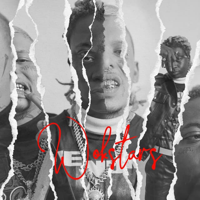 Album cover art for WOKSTARS
