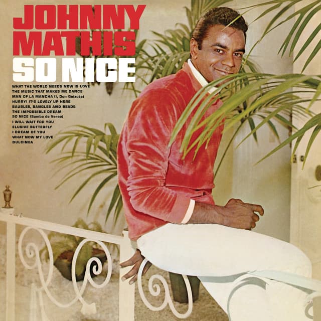 Album cover art for So Nice