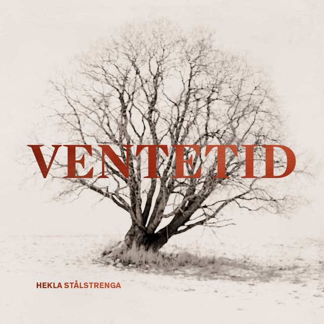 Album cover art for Ventetid